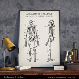 May include: A black and white anatomical skeleton diagram with numbered bones. The diagram is labeled "Anatomical Skeleton" and includes the date "Aug. 15, 1961" and patent number "2995833".