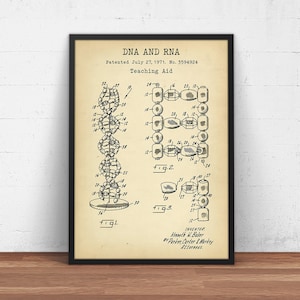 DNA And RNA Teaching Aid Patent Print, Genetics Decor, Medical Student Gifts, Science Poster, DNA Art, Biology Wall Art, Gift For Teacher