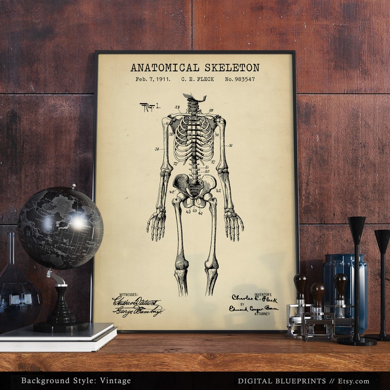 Vintage Anatomy Print, Human Skeleton Patent Poster, Doctor Gifts ...