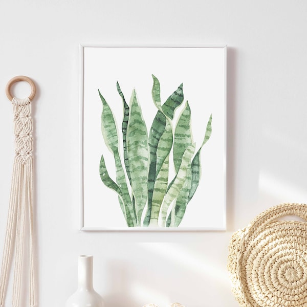 Snake plant art, watercolor snake plant, botanical print, living room decor, snake plant painting, wall hanging, decor, neutral bathroom art