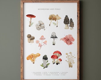 Watercolor Mushroom Art Print: Botanical Fungi Poster
