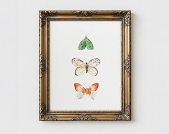 Impression aquarelle papillon : décoration murale papillon et insecte