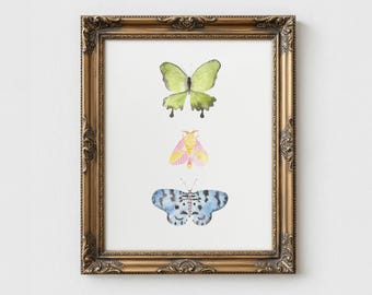 Peut inclure: Une impression encadrée avec trois papillons à l'aquarelle en vert, rose et bleu. Les papillons sont sur un fond blanc, dans un cadre doré orné. L'œuvre est une pièce décorative.