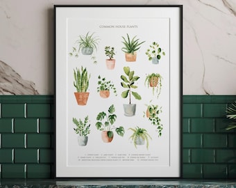 Impression d'art aquarelle plante d'intérieur : décoration murale botanique