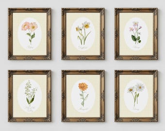 Flower wall art, vintage feel watercolor artwork, floral paintings, girl room, botanical set