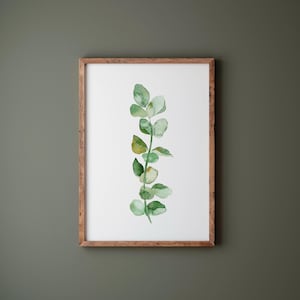 Watercolor Eucalyptus Print: Botanical Leaf Wall Art