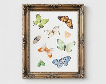 Colorful Butterfly Poster: butterfly wall decor, wall decor, watercolor butterfly painting