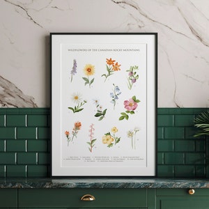 Wildflower Poster, Wildflower schilderij, Wildflower grafiek, Wildflower muur hangen, Wildflower kunst, Wildflower wand decor, Canadese bloemen
