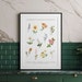 see more listings in the Botanical/ Floral Prints section