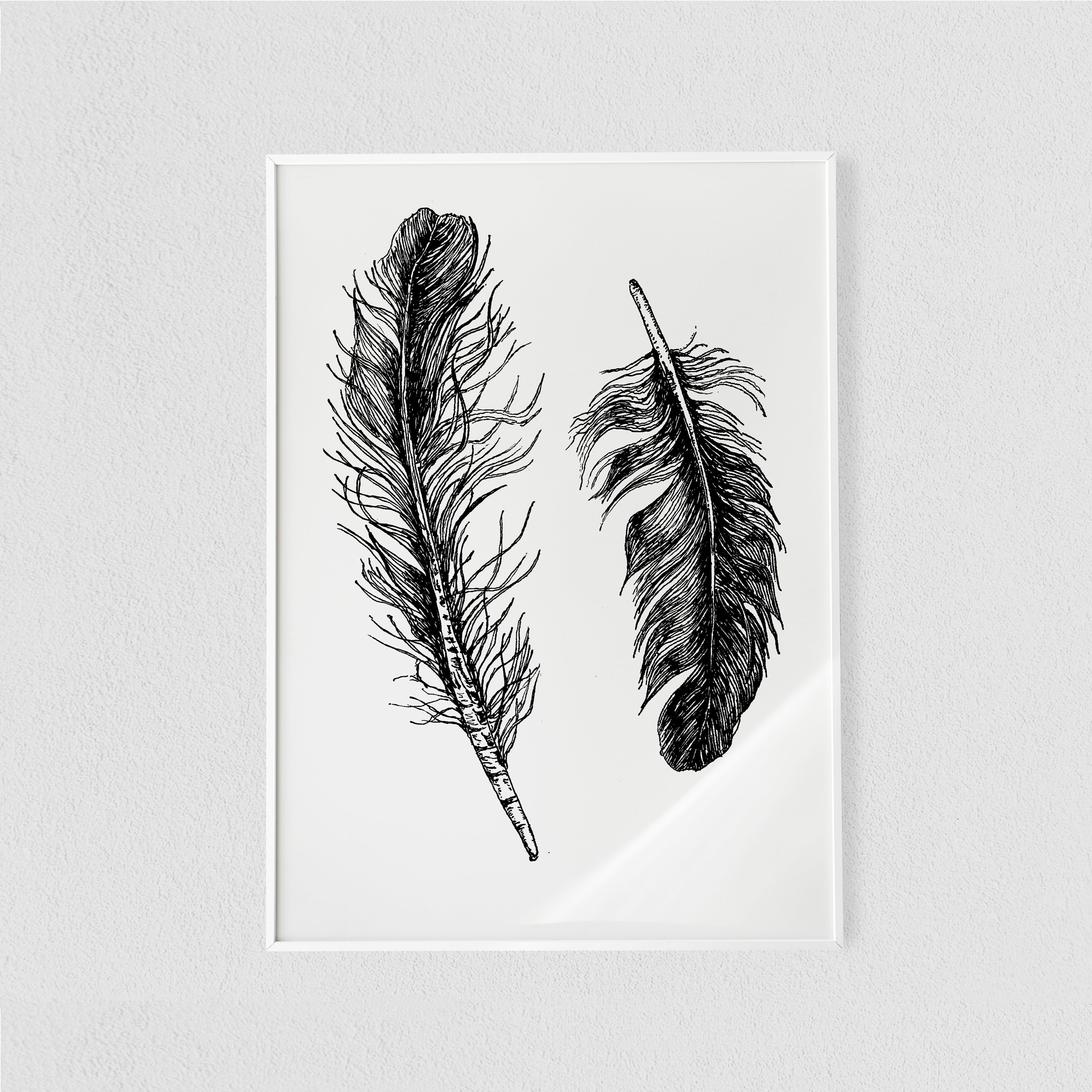 Feather Samples Scientific Illustration Print Poster House Decor / Wall