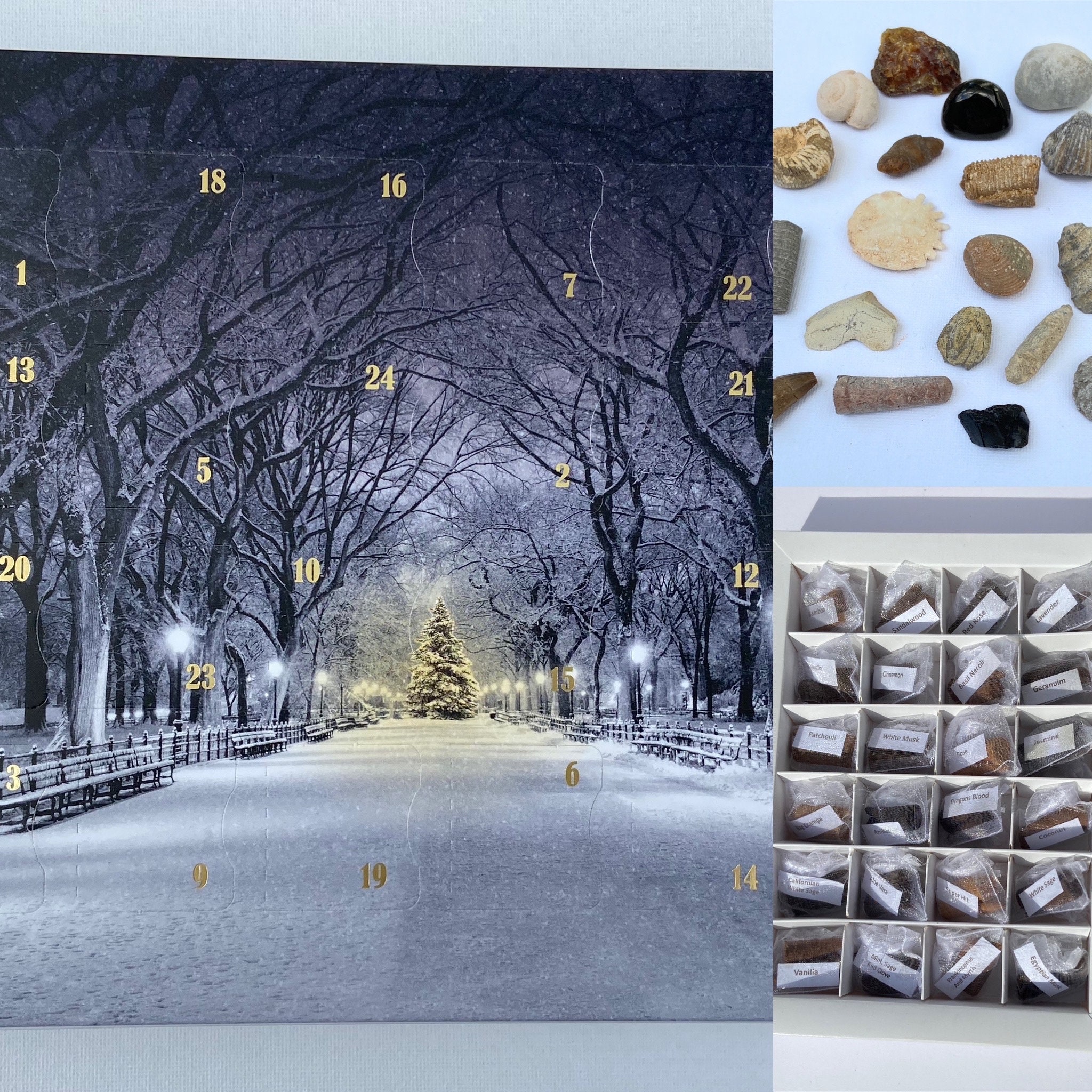 Fossil 24 Door Advent Calendar. Snow in the Park Design Box