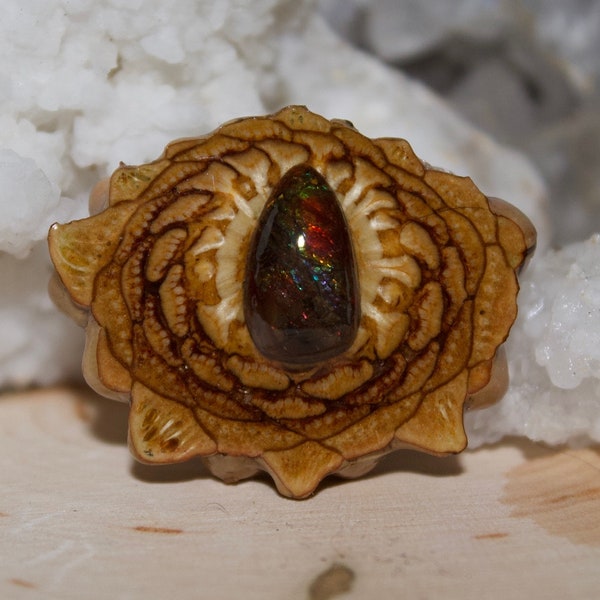 Canadian Ammonite Colorado Pine Cone Pendant Necklace Size Small 1-1.25”