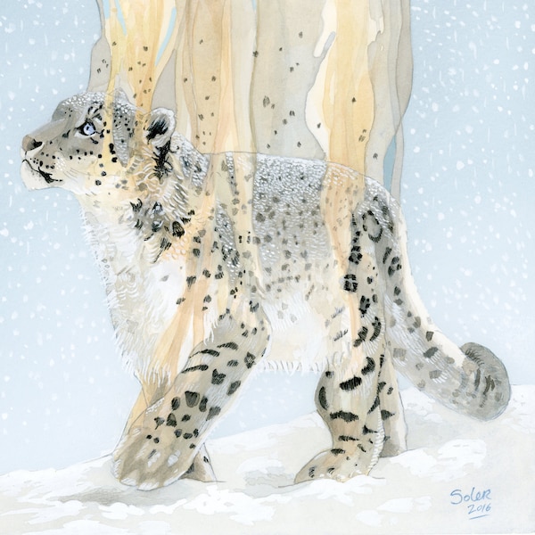 PRINT édition limitée "Snow Leopard Decomposition", tirage d'art giclée, décoration d'interieur, illustration, décoration, art animalier.