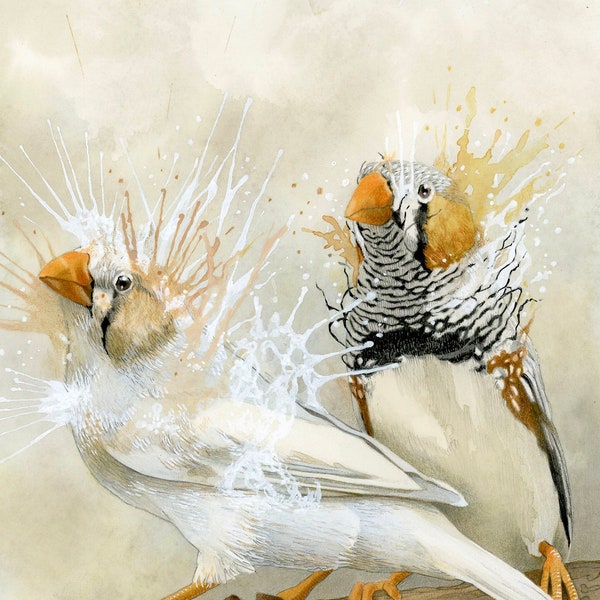 PRINT Édition Limitée Zebra Finch Diamant Mandarin Oiseaux Impression Giclée Tirage d’art Illustration Art Animalier Art Mural Décoration