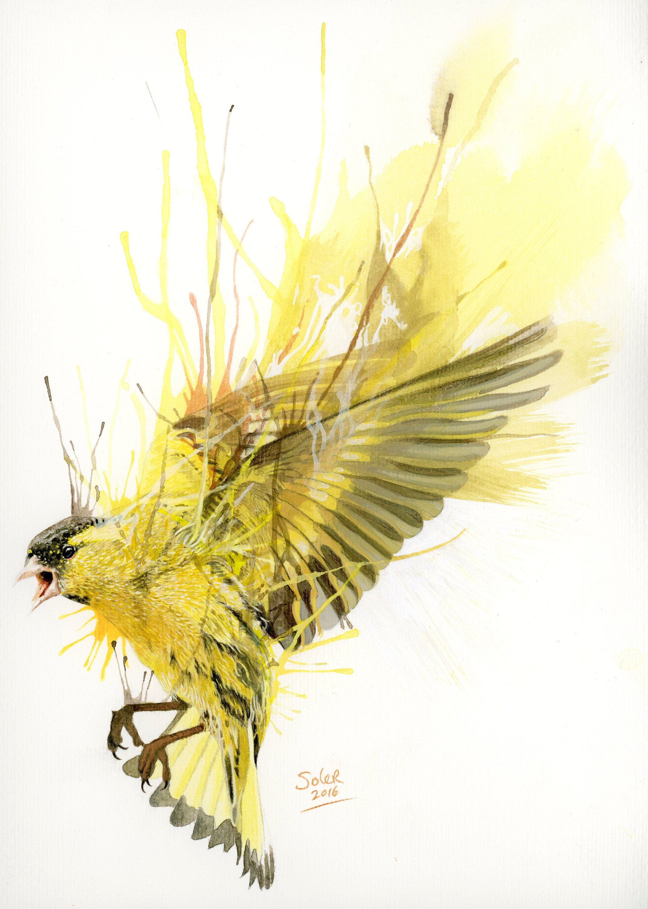 Art Print Yellow Bird Decomposition