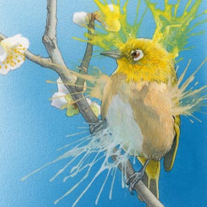 Art print of a bird on a branch. Superb giclee print on the theme of animal art for a different interior decoration.