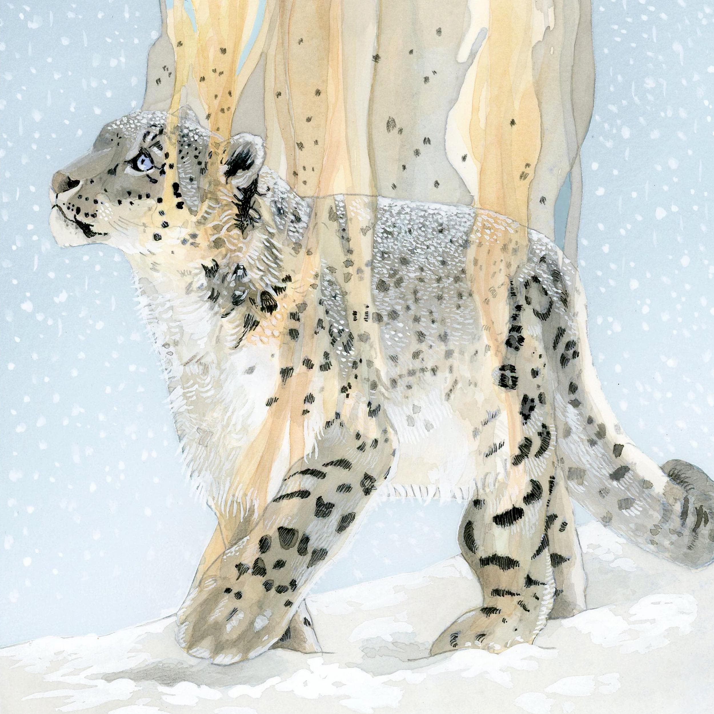 Snow Leopard Art Print. Superb Illustration Made by an Artist for an ...