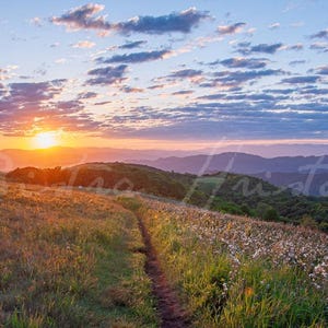 May include: A scenic landscape photograph captures a sunrise over rolling hills and mountains. A dirt path leads through a field of wildflowers and tall grass. The sky is filled with clouds, and the sun is a bright orange orb.