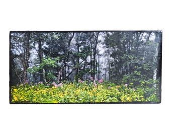 Blue Ridge Parkway Summer,  Blue Ridge Mountains, North Carolina Landscape Photo,  Handmade Photo on Wood, Mother's Day, Free Shipping