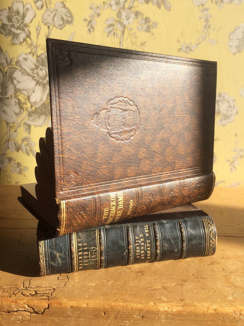 The Hunchback Of Notre-Dame Vintage Book Art Jewellery Stand