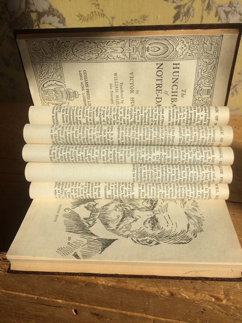 The Hunchback Of Notre-Dame Vintage Book Art Jewellery Stand
