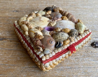 Shell Box