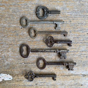 May include: A collection of seven metal keys of varying sizes and designs, including ornate bow shapes and simple circular heads. The keys feature different metallic finishes, ranging from dark iron to lighter silver tones, all arranged in a vertical row.