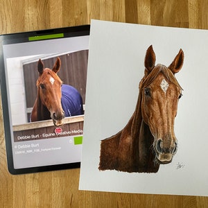 Horse Painting, Painted Horse portrait, Horse Lover Gift, Personalised Horse Gift, Watercolour Horse Painting, Equestrian Gift, Pony gift