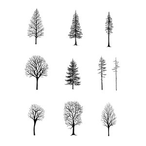 Procreate Brush Bäume, Procreate Stempel, Procreate Pinsel, Winter Tree Brushset, iPad Pinsel, Wald, Tannen, Baum Silhouette Bild 3