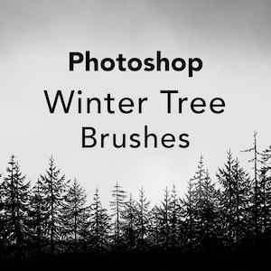 Photoshop Brush - Tree Stamps. Create wood scenes, winter tree illustrations, Christmas trees or fall related graphics with Photoshop.