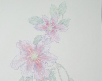 Clematis I