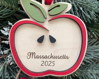 Apple Slice Ornament | Custom Apple Ornament | Family Apple Ornament | Apple Picking Memory