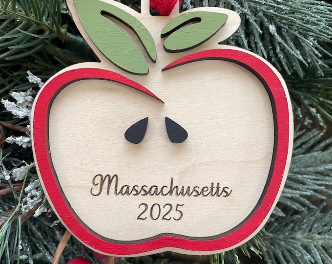 Apple Slice Ornament | Custom Apple Ornament | Family Apple Ornament | Apple Picking Memory
