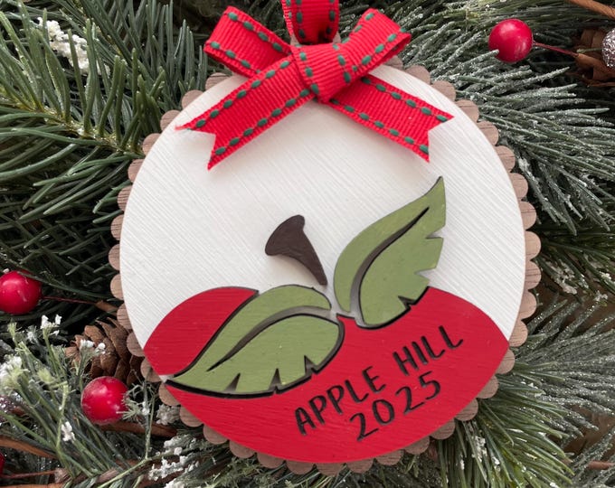 Apple Ornament | Personalized Apple Name Ornament | Apple Picking Ornament | Apple Orchard Gift Idea