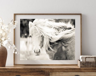 Black and White Horse Photography, Shop for a cause, Horse picture, Equine Art, Horse Art, Western Decor