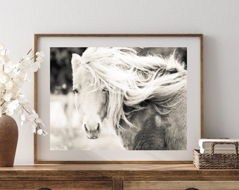 Stampa fotografica in bianco e nero di un cavallo, arte equina (download digitale)