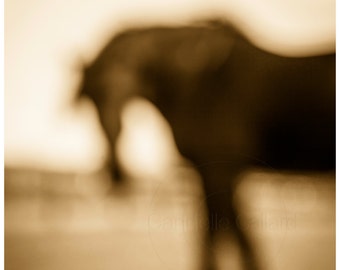 Horse photo, Horse Print, Black Percheron, Wall art, Abstract, Equine Art, Horse Art, Shop for a cause, Sepia Photography, Western Decor