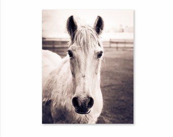 Horse photo, Horse Print, Sepia Photography, Shop for a cause, Wall art, Equine Art, Western Decor