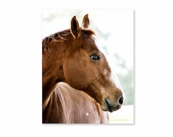 Horse photo, Horse Print, Shop for a cause, Wall art, Equine Art, Western Decor, Donation 30% of the sale