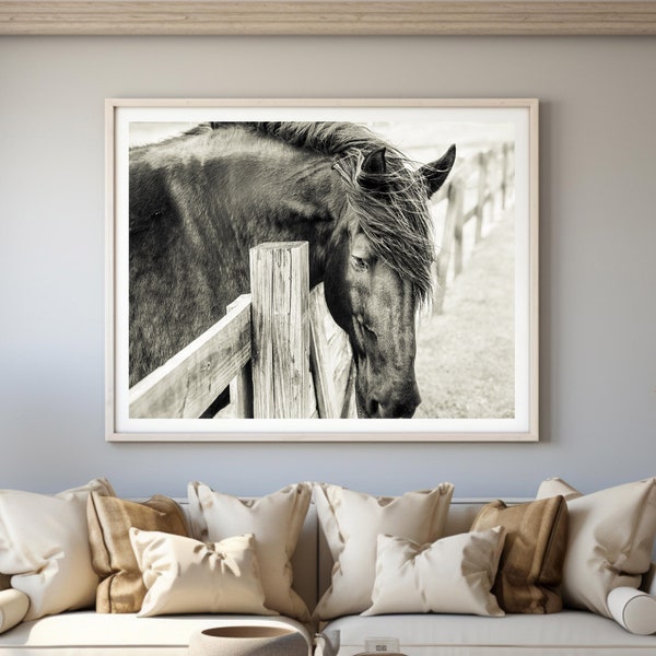 Horse photography Print, Farm Animals, Wall art, Farmhouse Western Decor, Donation 30% of the sale, High-Quality Art, Printable Wall Art