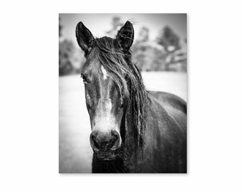 Horse photography Print, Black and White, Sepia Photography, Shop for a cause, Wall art, Equine Art, Country Western