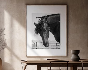 Horse Digital PRINTABLE Download, Black and White Photography, Percheron, Shop for a cause, Wall art, Equine Art, Western Decor, farm house