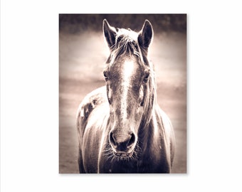 Horse photography Print, Sepia or Black and White, Shop for a cause, Wall art, Equine Art, Farmhouse Western Decor