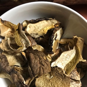 King boletus porcini mushroom