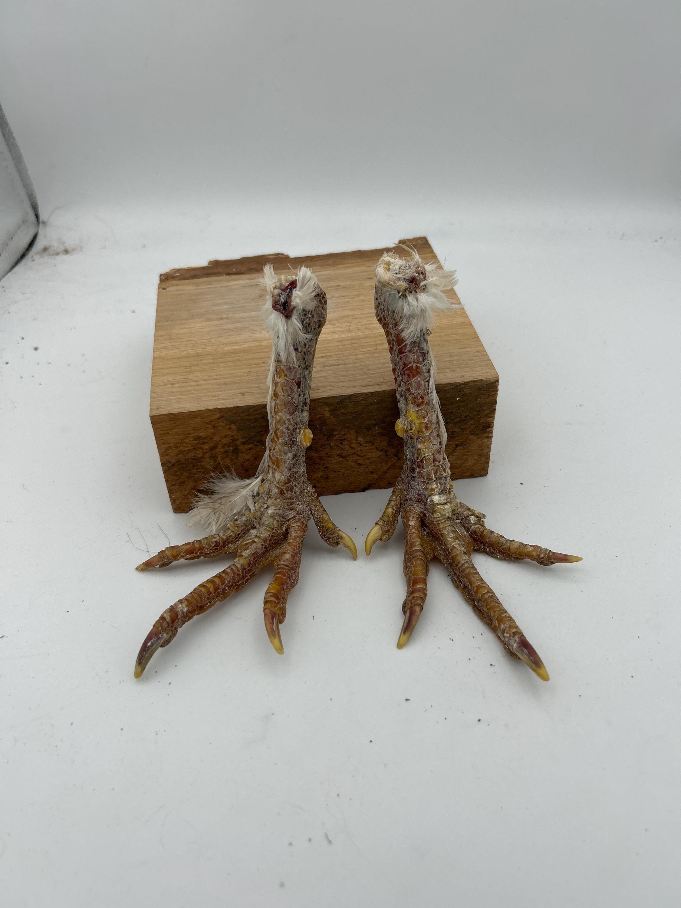 Cured chicken feet stands