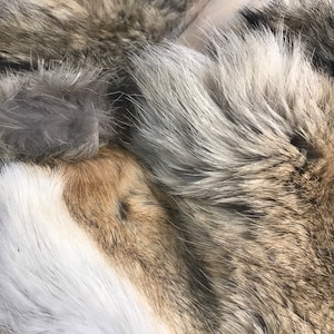 Coyote craft fur 12 oz.