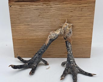 Cured chicken feet pair