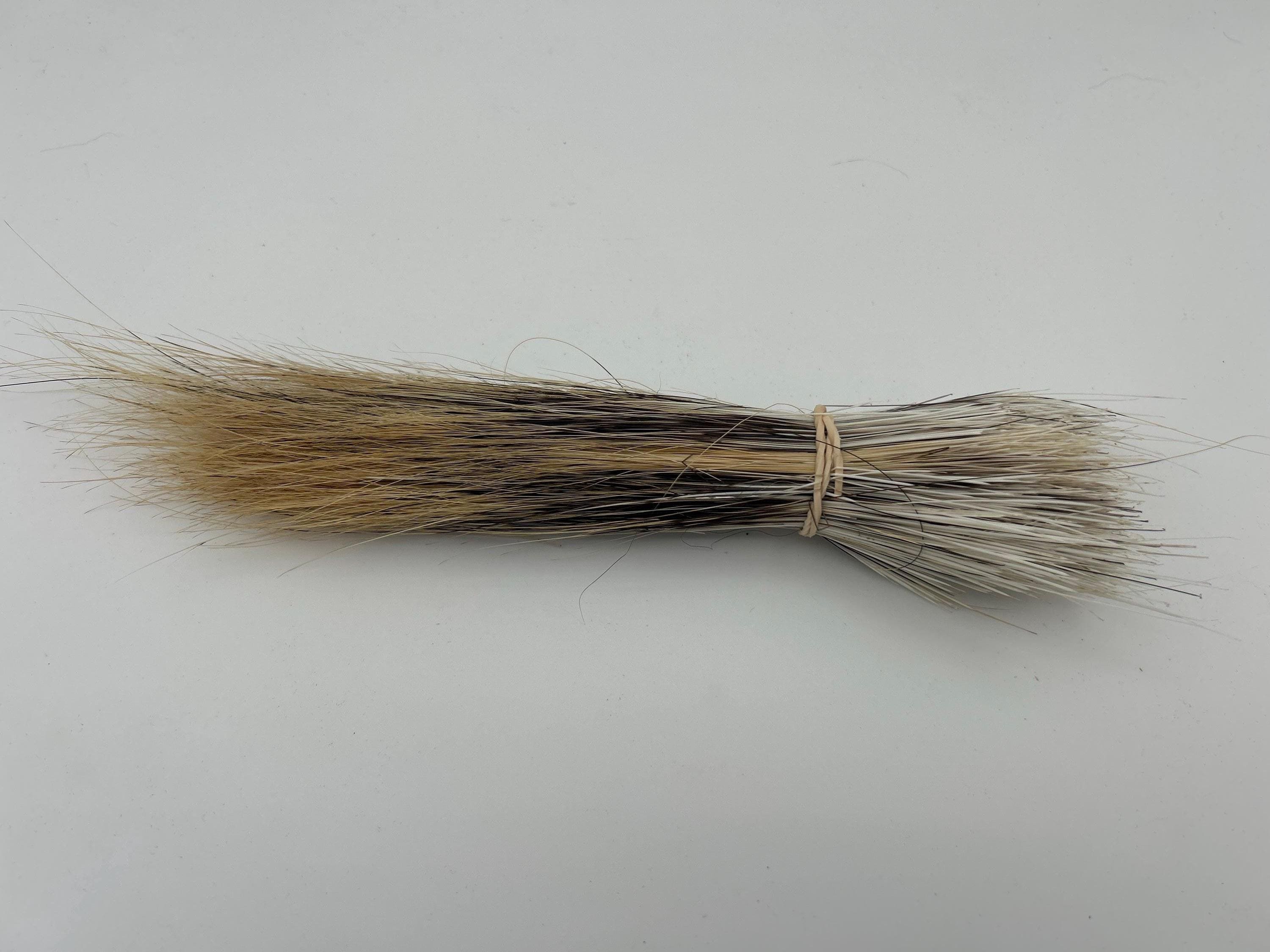 Porcupine guard hair