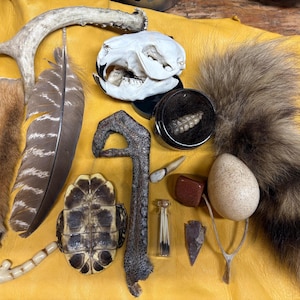 Kuriosalåda naturfynd samling