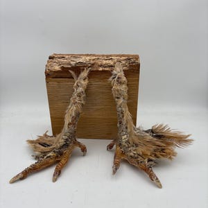 May include: Two dried chicken feet with tan and brown feathers and claws. The feet are positioned in front of a small, rectangular wooden block with a rough, bark-like texture. The background is plain white.